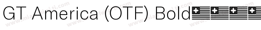 GT America (OTF) Bold字体转换